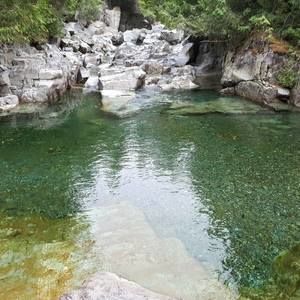 Meet your Posher, Roberta